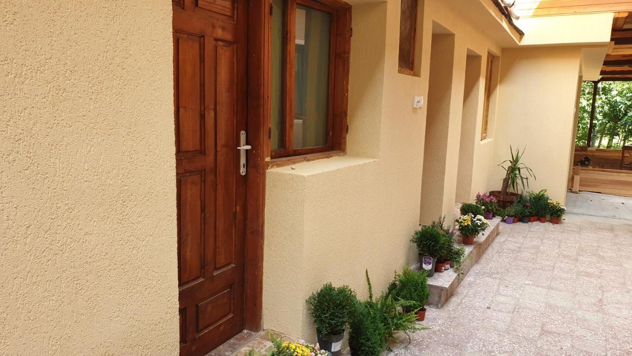 바일레헤르쿨라네 Casa Arion 아파트 외부 사진