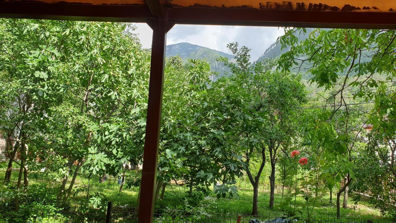 바일레헤르쿨라네 Casa Arion 아파트 외부 사진